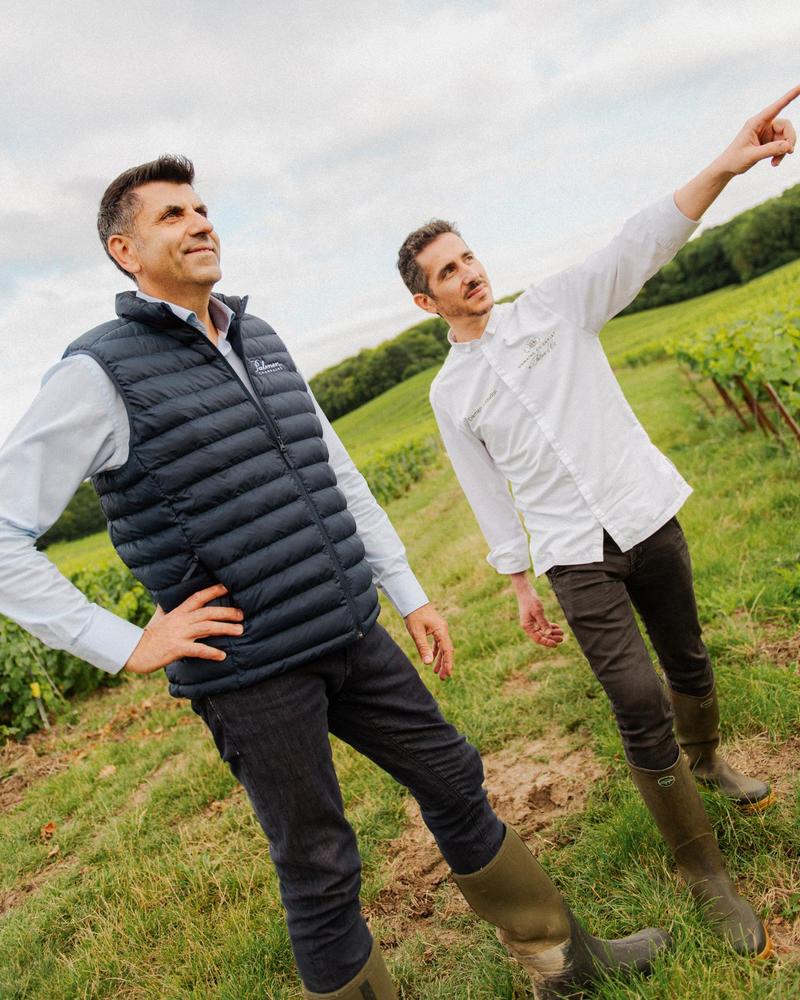 Xavier Berdin and Damien Litaudon looking over the vines of the Montagne de Reims