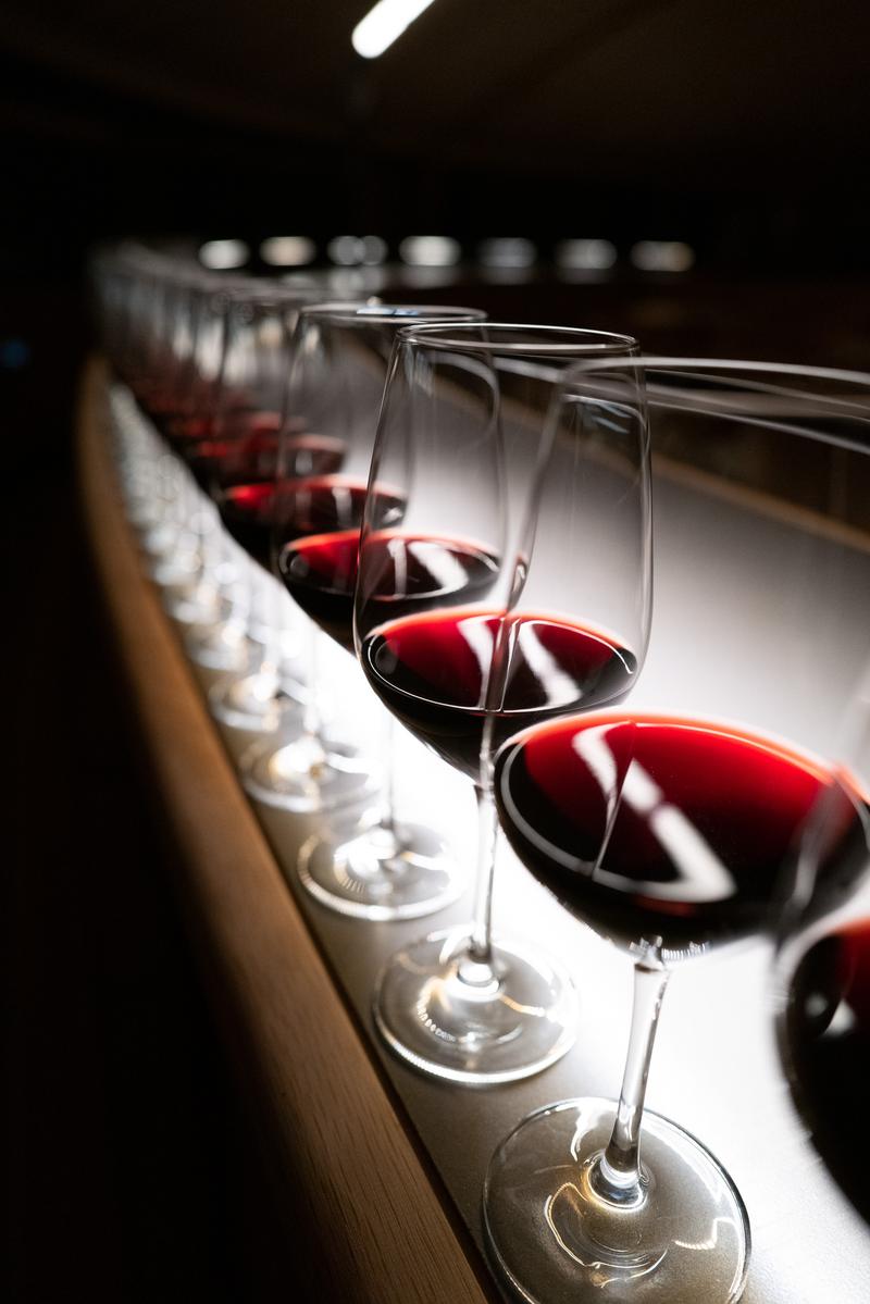 Line of red wine glasses on bar